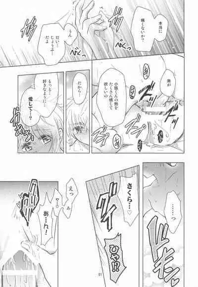 (C96) [Moku. (Yumako, Kaede Sago, Hachimitsu Yu) Suki na Hito to wa 〇〇 Shitai (Cardcaptor Sakura)