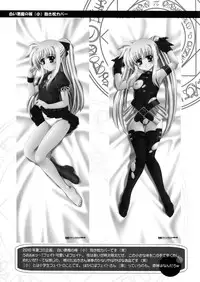 (C78) [Marchen Box] Nano Para 8 (Mahou Shoujo Lyrical Nanoha)