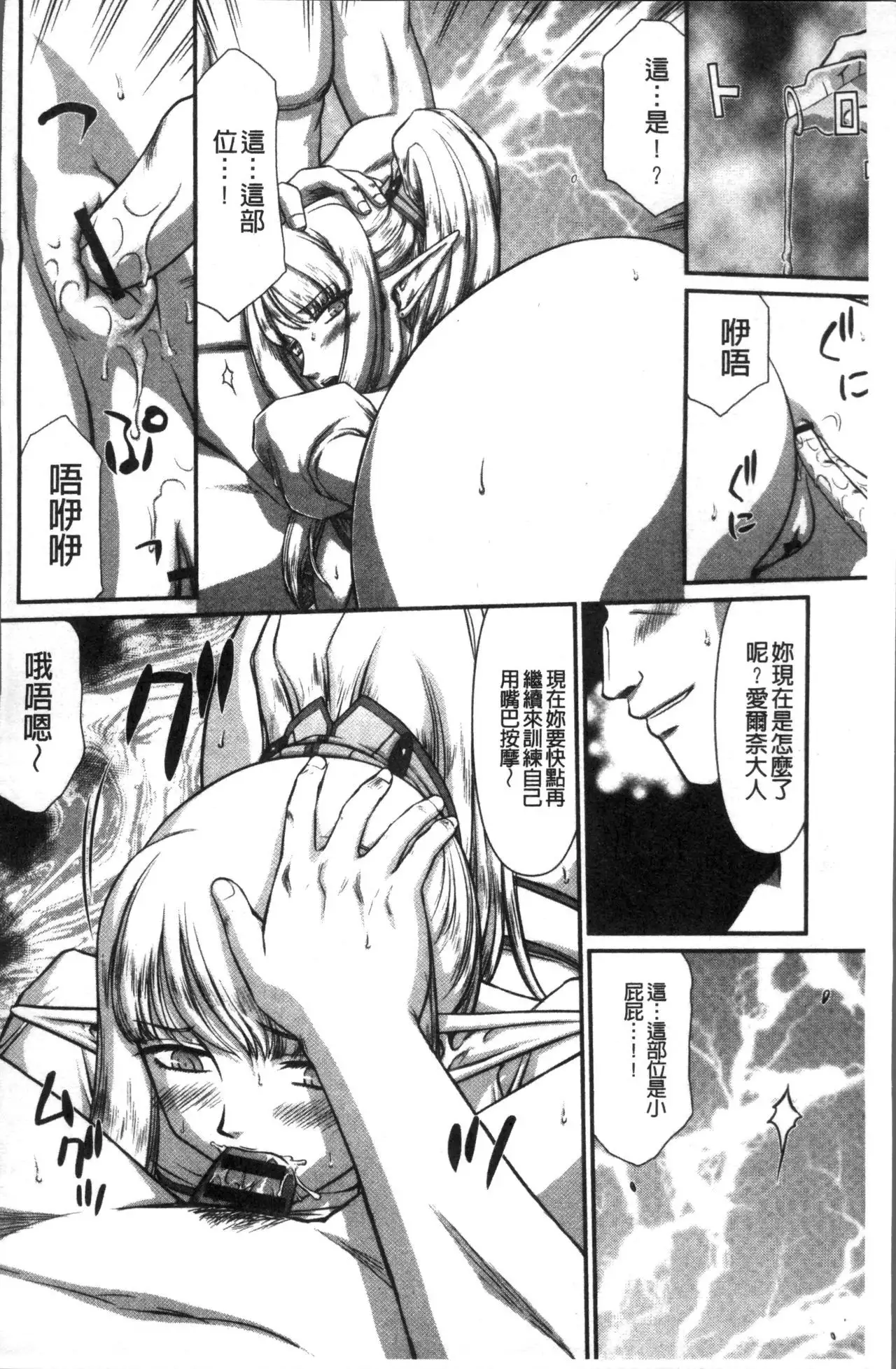 Inraku no Seijo Elvine