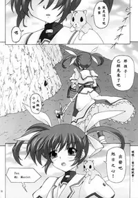(COMIC1☆5) [Nejimaki Kougen (Kirisawa Tokito)] Capture Girl F (Mahou Shoujo Lyrical Nanoha) [Chinese] [EGO自漢化]