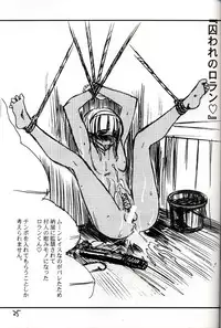 (C58) [Evil Aratame Baroqe Store (Miyabi Tsuzuru)] Akira Ju (Hikaru no Go)