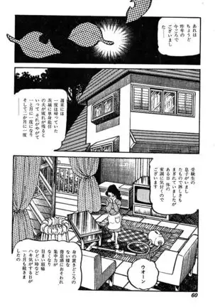 Joshidaisei Taikengohko