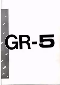 [Cha Cha Cha Brothers, Rupinasu Touzokudan (Yokoyama Chicha)] Ginrei Hon V (Giant Robo)