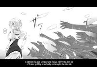 (C76) [barista (Kirise Mitsuru)] Schrodinger (Touhou Project) [English] {Afro}