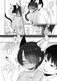 (C90) [Himitsukessya Usagi (Dancyo)] CUSTOMLOVECATs 3rd