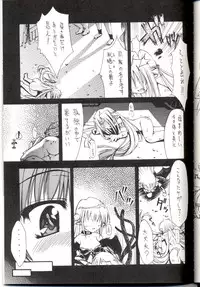 (C64) [Nanairo no Magatama (Nanaki Seijyu)] RFⅡ (Ragnarok Online)