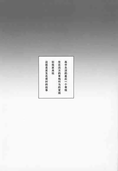 Kyonyuu Itoko ga Iru Kyuuka