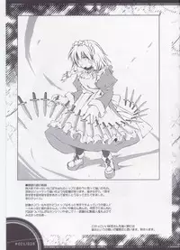 (C66) [Douganebuibui (Aburidashi Zakuro)] Mugen Jikan no Koi (Touhou Project)