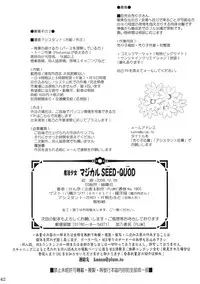 (C75) [PLUM (Kanna)] Mahou Shoujo Magical SEED QUOD (Mahou Shoujo Lyrical Nanoha)