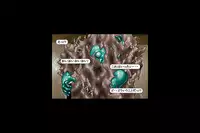 [Kurogantetu (S.Y.R)] Maen Ch. 8