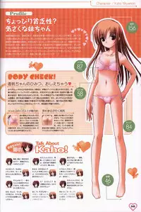 Shakkin Shimai＆Shakkin Shimai2 visual fanbook