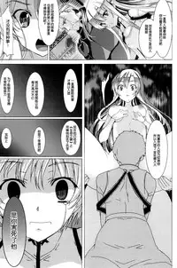 (SHT2012 Aki) [Waffle Doumeiken (Tanaka Decilitre)] WRONG ROUTE (Sword Art Online) [Chinese] [脸肿汉化组]