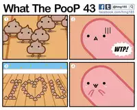 What the PooP [On Going]