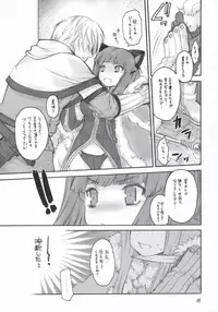 (C67) [Seinansei ni Kagayakeru Hoshi (Morino Papiko)] Ragnarok Yawa Level.5 (Ragnarok Online)