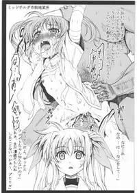 (C80) [PHYSALIS (Seresu)] Physalis no Usui Hon (Mahou Shoujo Lyrical Nanoha)