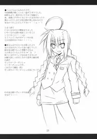 (CC11) [Yoru no Benkyoukai (Fumihiro)] Vita no hon 2 (Mahou Shoujo Lyrical Nanoha)