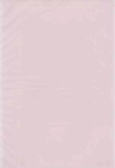 (C51) [RAINBOW FORCE (Minakami Hiroki)] Be WILD (Bakusou Kyoudai Let's & Go!!)