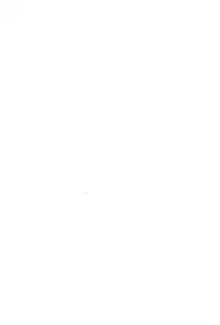 (Meikasai 13) [Mofu Shippo Lab (Nakamura Subaru)] JS Chen (Touhou Project)