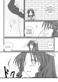 (C78) [DOORS, UA (Sakura, Teramoto Kaoru)] Under the Rose (Touhou Project) [English] [Wings of Yuri]