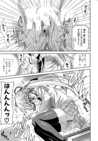 [Lapis Lazuli] Metamorphose