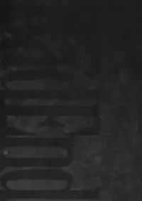 (C82) [Unizo (Unikura)] Nan to iu Kao wo shiteiru, Marude Sakari no tsuita Mesuinu no you dewa naika (Fate/Zero) [Chinese]