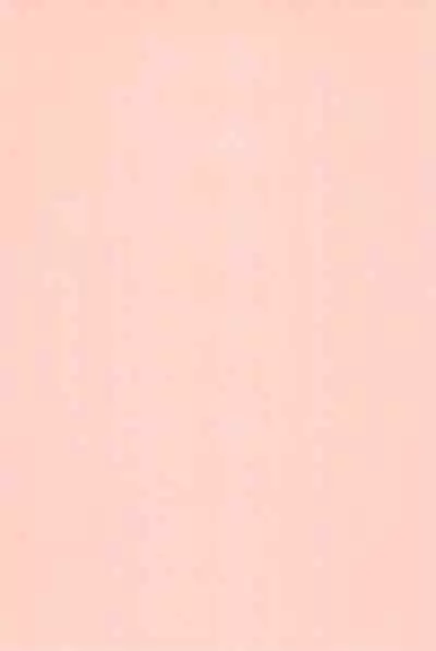 [Studio Rakkyou (Takase Yuu, Ashisyun)] Kanzen Nenshou 14 (Otogi-Jushi Akazukin) [2007-04-15] [Chinese] [牛肝菌汉化]