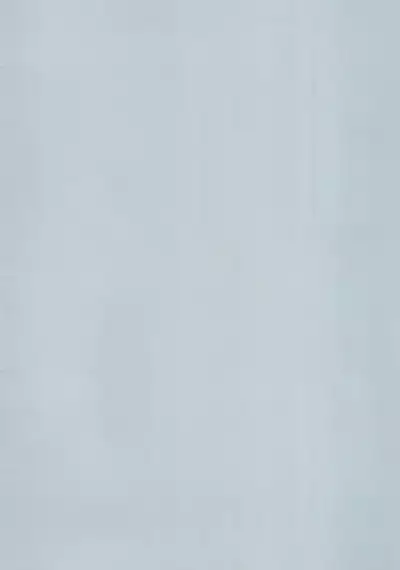 Blue Archive Hon. Full Color