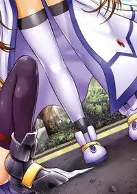 (C75) [STUDIO HUAN (Raidon)] New Fate-chan. Mahiru no Rojou Choukyou Hen ALL Full Color Soushuuhen (Mahou Shoujo Lyrical Nanoha)