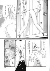 [Taira Hajime] Type-H