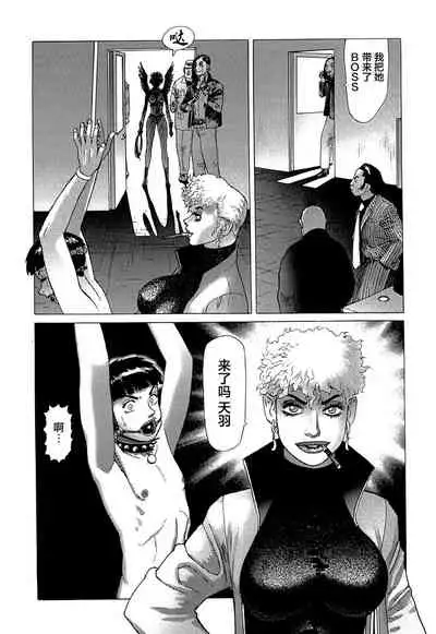 [Yamamoto Atsuji] Ammo Vol 5[Chinese][雷电将军汉化]