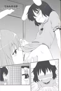 (Touhou Suukei Sai) [Shin Hijiridou Honpo (Hijiri Tsukasa)] Usagi no Miru Yume (Touhou Project) [English] [CGrascal]