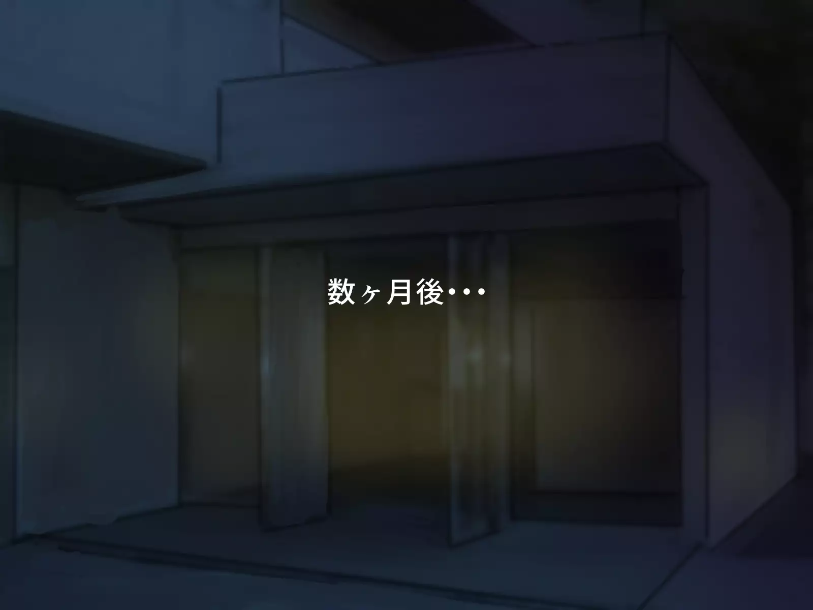 Seiyoku Kanri Nisshi 〜 Mansion ni Kurasu Ero Onna-domo Ochi￮ko-zuke ni Suru Gyoumu 〜