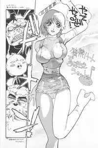 (C43) [Ganso Sonoda Ya (Various)] Chousen Ame Ver.02 (Various)