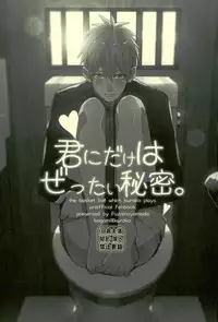 (C89) [Fuzai no Yamada (Yumoto)] Fuzai no Yamada Sairokushuu Ni (Kuroko no Basuke)