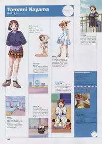 Super Real Mahjong Visual Fan Book Perfect Collection