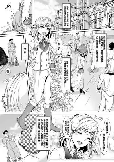 Akogare no Elf Shounen ga Yowatte ita node Chiryou Tsuide ni Mesu Ochi sasetai