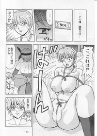 (C63) [HEAVEN'S UNIT (Kouno Kei)] Daten No Hanazono 3 (Dead or Alive)