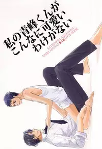 (SPARK10) [U.D.T. on blue (Kiyota Ukiko)] Watashi no Aomine-kun ga Konna ni Kawaii Wake ga Nai (Kuroko no Basuke)
