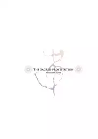 (C91) [Armament Calcium (Take Calcium)] Shinzen Shoufu (Touhou Project)