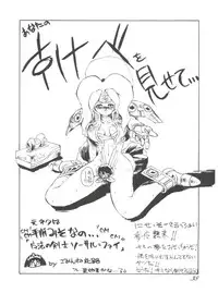 (C43) [Ganso Sonodaya (Various)] Chosen Ame Ver 2.0 (Various)