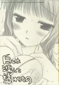 (SC33) [D.N.A.Lab. (Miyasu Risa)] Shiro towa Nurete Sukeru Mono (KimiKiSS)