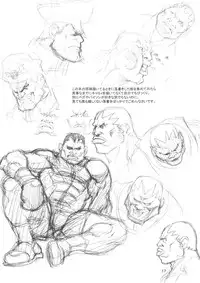 (C65) [666protect (Various)] Cammy no Hon (Street Fighter)