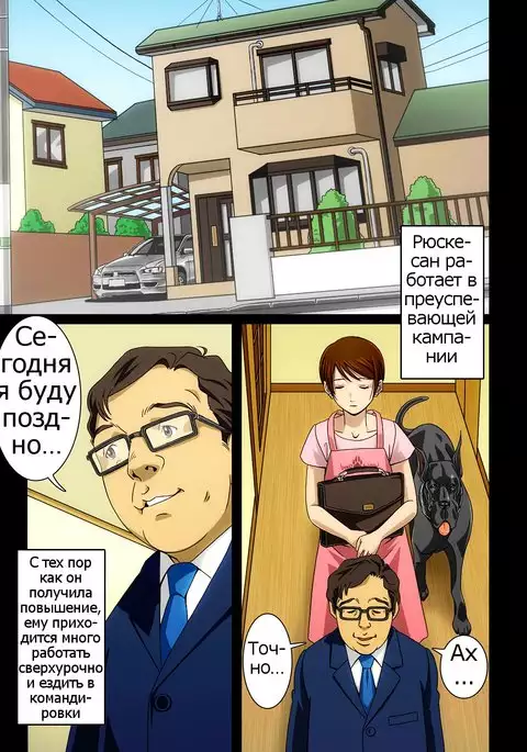 “Wonderful Life” ~Shufu to “Aiken” no Hisoyaka na Gogo~