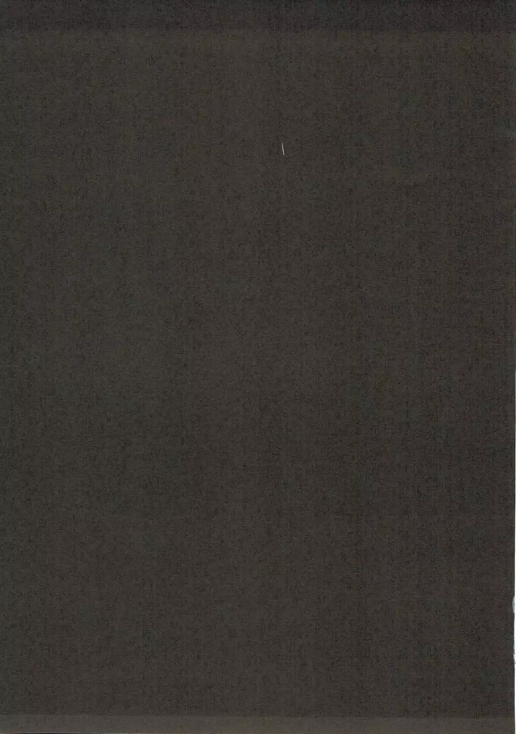 Netoge no Yome wa Game-nai de wa H na Me ni Awanai to Omotta?