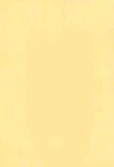 Minnaigai no Neta vol.2