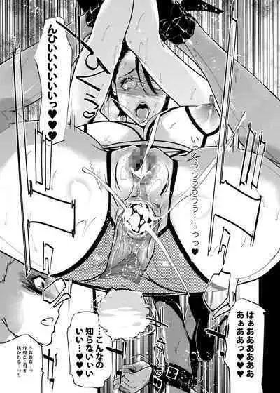 NTR THE MIDNIGHT POOL Soushuuhen DX