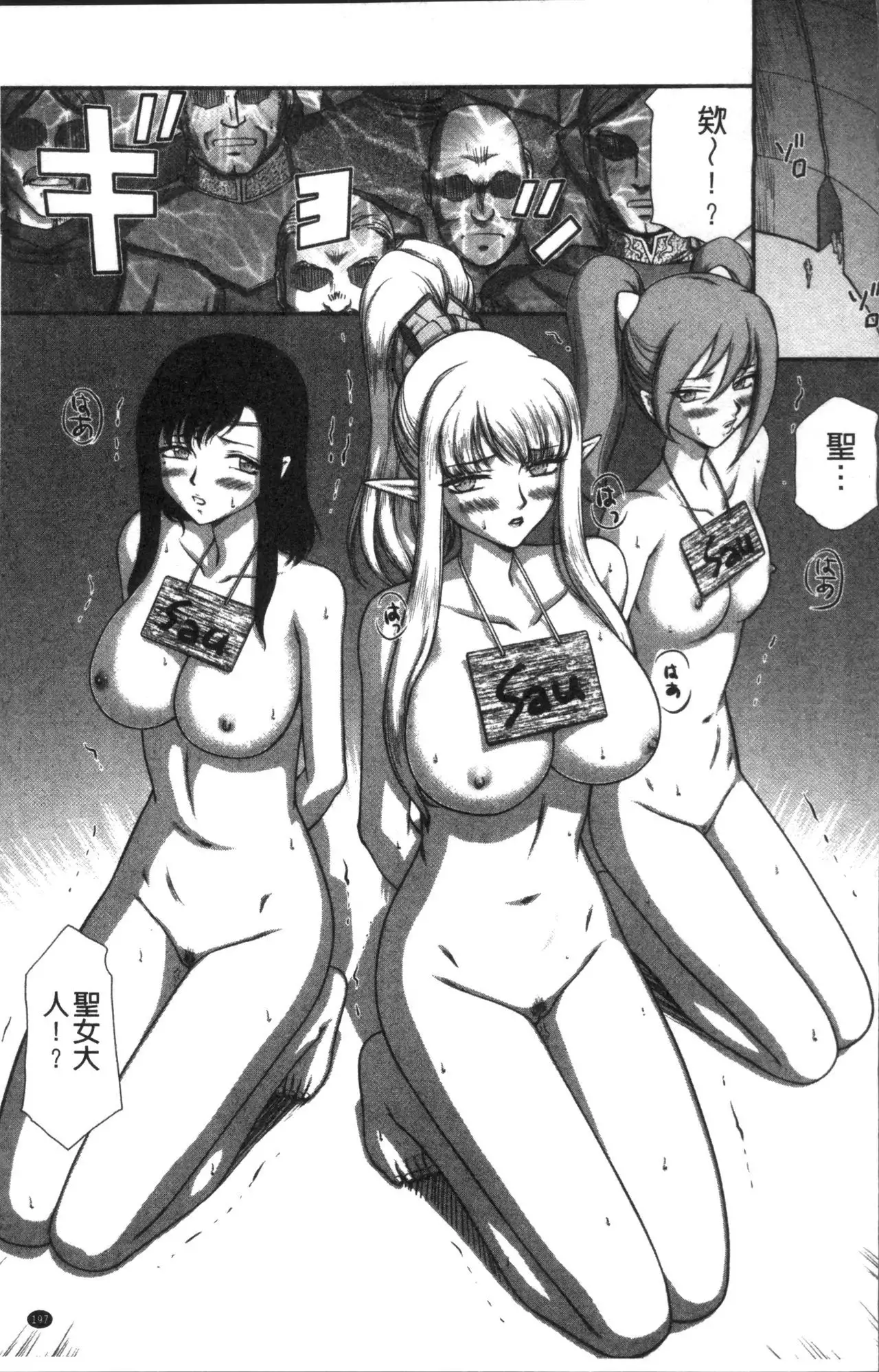 Inraku no Seijo Elvine