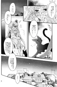 (C67) [Kotori Jimusho (Sakura Bunchou)] chanson de I'adieu (Sailor Moon)