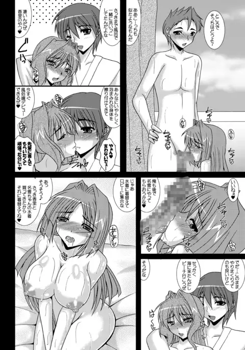 Aikagi - Ubawareta Osananajimi 2