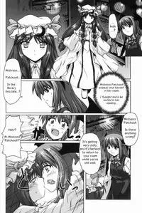 (C69) [Mirabilien Fabrik (Yuzu Momo)] Mahou Toshokan no Yoru (Touhou Project) [English]
